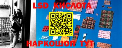 прущие крисы Будённовск
