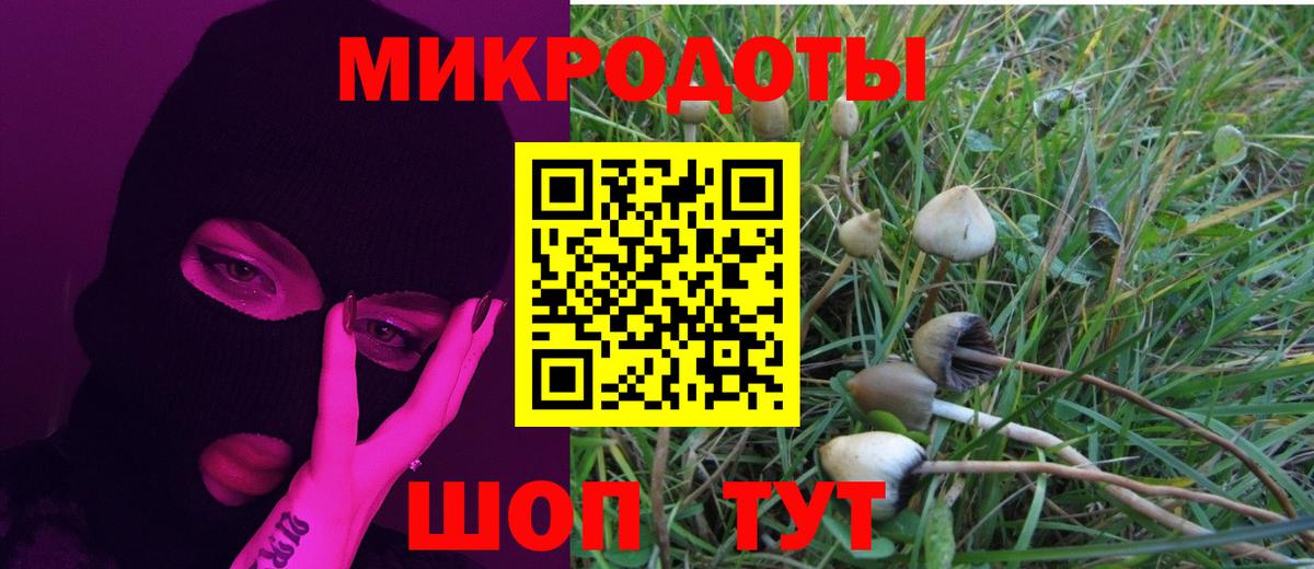 Псилоцибиновые грибы Cubensis  Вход с VPN  Первоуральск 